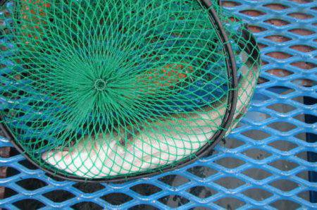 オリジナルメーカー海づり公園(市原市海づり…