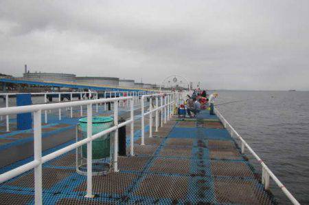 オリジナルメーカー海づり公園(市原市海づり施設) 釣果