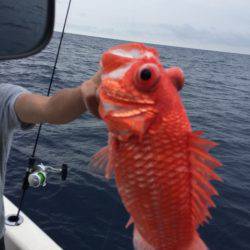 Blue.win 海人丸 釣果