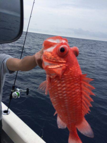 Blue.win 海人丸 釣果