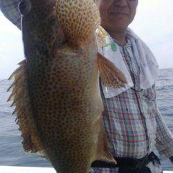 遊漁船 新鋭丸 釣果