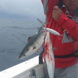 第五慶門丸 釣果