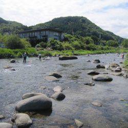 狩野川(狩野川漁業協同組合) 釣果
