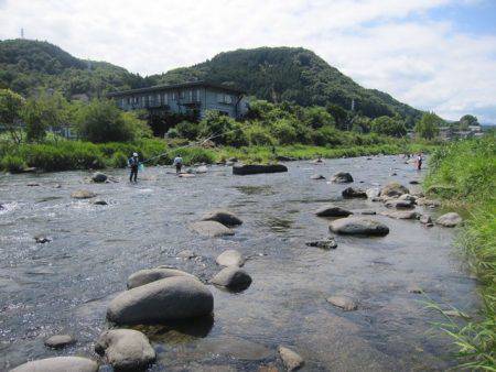 狩野川(狩野川漁業協同組合) 釣果