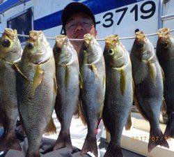 石川丸 釣果