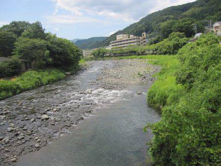 狩野川(狩野川漁業協同組合) 釣果