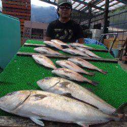 カタタのつり堀 釣果