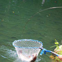 小菅トラウトガーデン 釣果