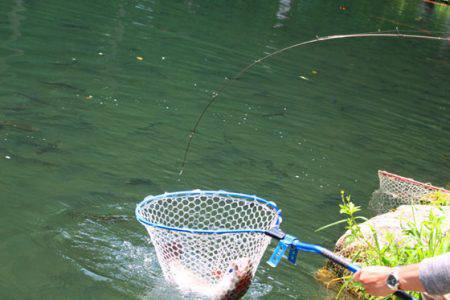 小菅トラウトガーデン 釣果