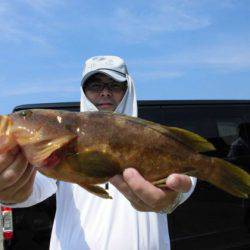 大進丸(新潟) 釣果