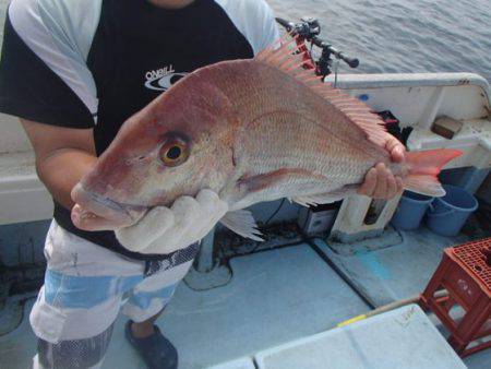 清和丸 釣果