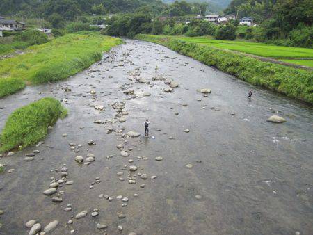 狩野川（狩野川漁業協同組合） 釣果