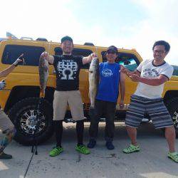 気仙沼　つり丸 釣果