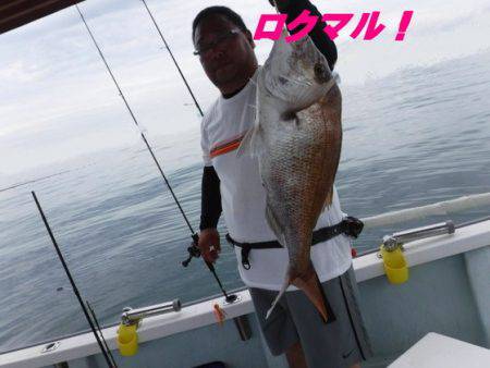 遊漁船 幸友丸 釣果