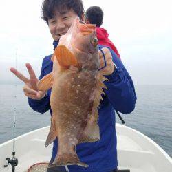 Magic（マジック） 釣果