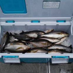 第二大福丸 釣果