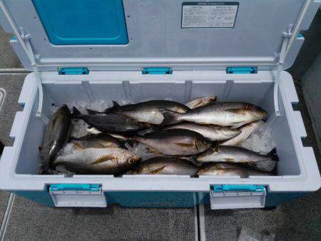 第二大福丸 釣果