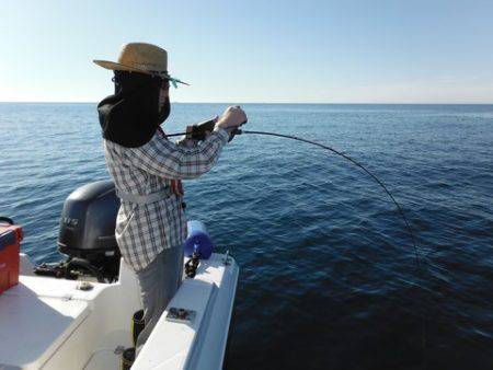 開進丸 釣果