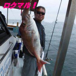 遊漁船 幸友丸 釣果