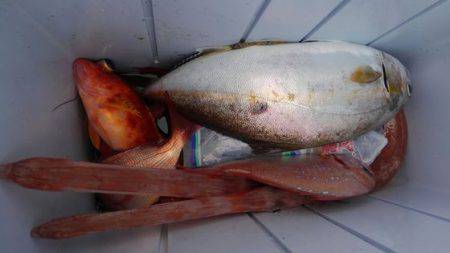 遊漁船 新鋭丸 釣果