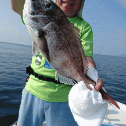 遊漁船ブルーウッズ 釣果