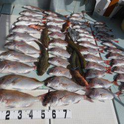 遊漁船 幸友丸 釣果