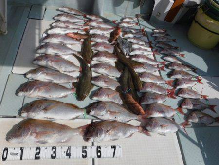 遊漁船 幸友丸 釣果