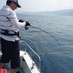 遊漁船ブルーウッズ 釣果