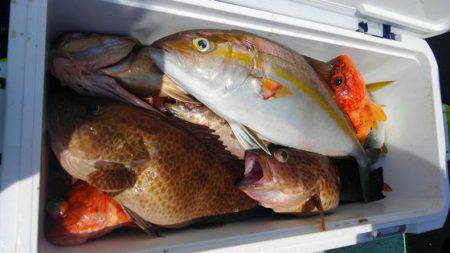 遊漁船 新鋭丸 釣果