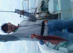 ディープ オーシャン 釣果