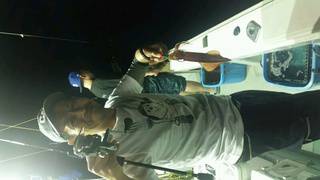 ディープ オーシャン 釣果