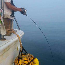 第五慶門丸 釣果