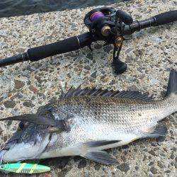 大村湾西部ショアスロー