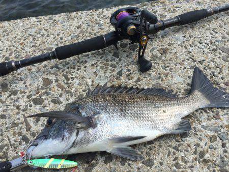 大村湾西部ショアスロー