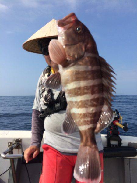 Blue.win 海人丸 釣果