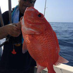 Blue.win 海人丸 釣果