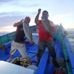 フィッシングハウス伊藤 釣果