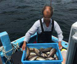 おざき丸 釣果