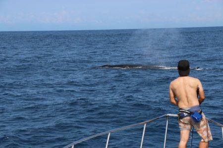 へいみつ丸 釣果