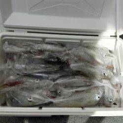 第二大福丸 釣果