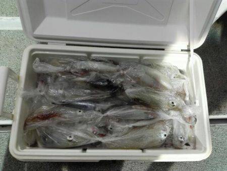 第二大福丸 釣果