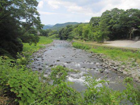 狩野川(狩野川漁業協同組合) 釣果