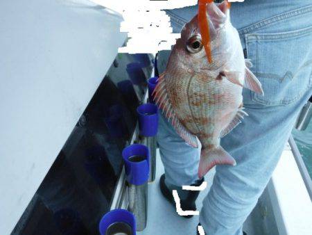 遊漁船 幸友丸 釣果