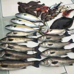 ふじしめ丸 釣果