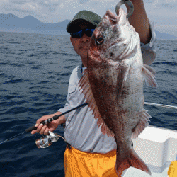 遊漁船ブルーウッズ 釣果