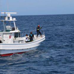 へいみつ丸 釣果