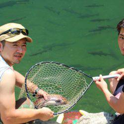 小菅トラウトガーデン 釣果