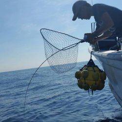 第五慶門丸 釣果