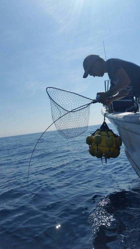 第五慶門丸 釣果