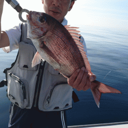 遊漁船ブルーウッズ 釣果